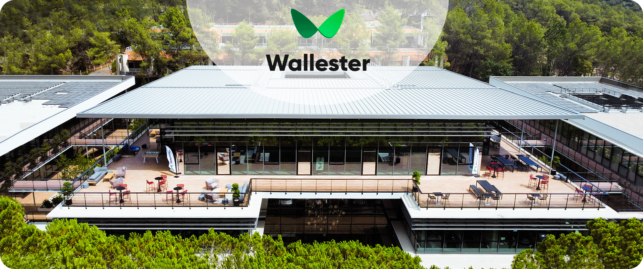 Global Growth: Wallester Ventures into France with New Office Expansion 🚀