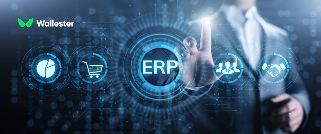ERP systems in action after connecting with Wallester White-Label