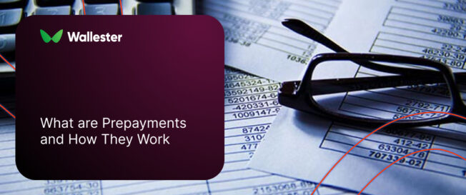 What are Prepayments and How They Work