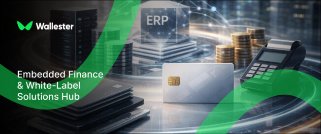 Embedded Finance & White-Label Solutions Hub