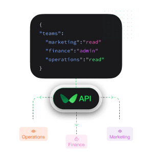 API permission diagram showing JSON access levels for Operations, Finance, and Marketing teams
