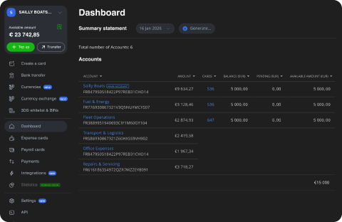 Wallester Business desktop UI with dashboard of summary statement