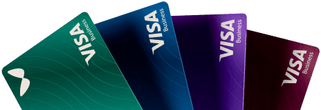Visa card in colors