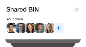 Shared BIN with your team