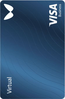 Visa card blue