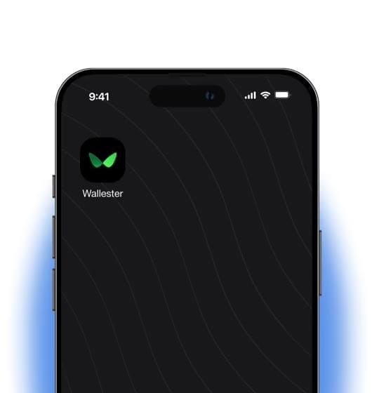 mobile phone with Wallester app